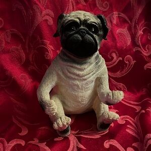 Sitting Pug